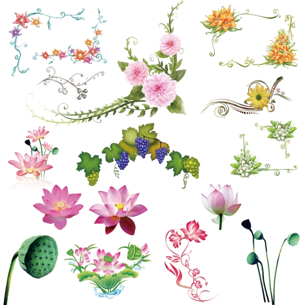花紋圖片