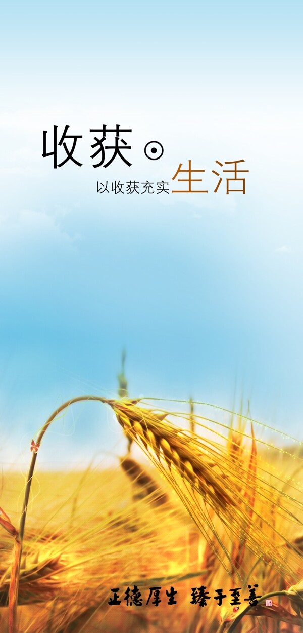 企業(yè)文化圖片