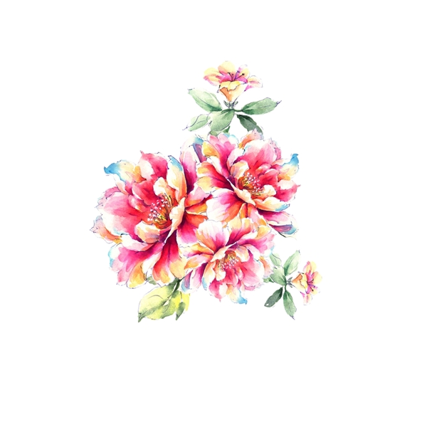 位圖psd植物花朵免費素材