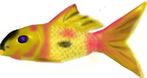 動(dòng)物魚類3d模型動(dòng)植物模型免費(fèi)下載動(dòng)植物3d模型20