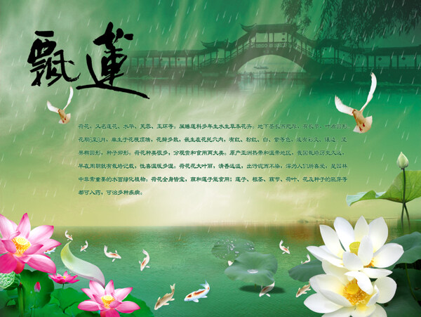 鏈花