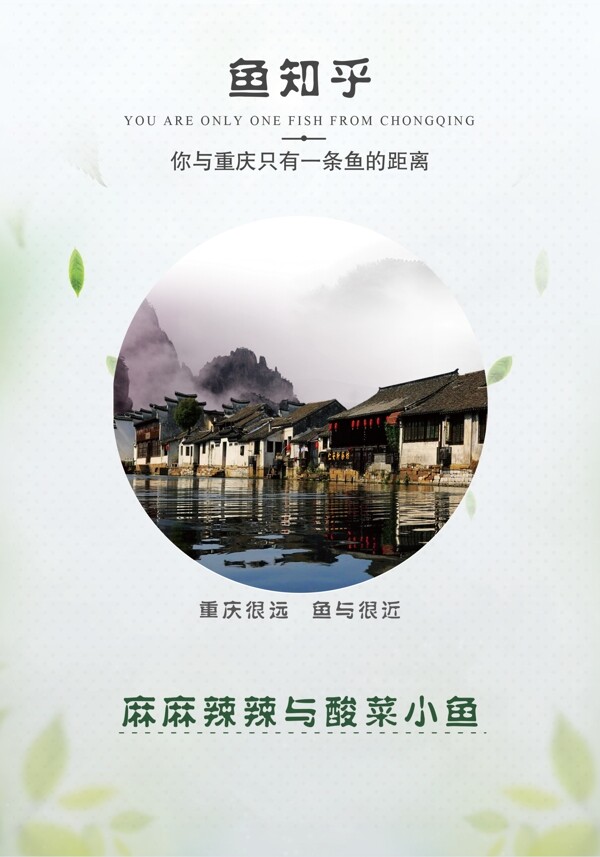 鱼知乎菜单封面