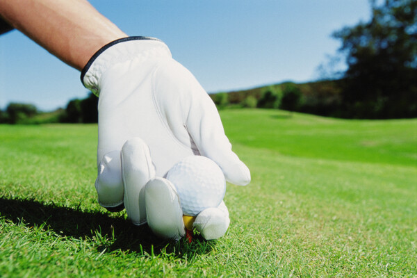 高尔夫户外运动高尔夫球全方位平面设计素材辞典白手套手套