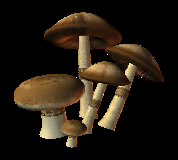 植物生长蘑菇元素