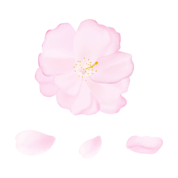卡通质感粉红色的樱花花瓣