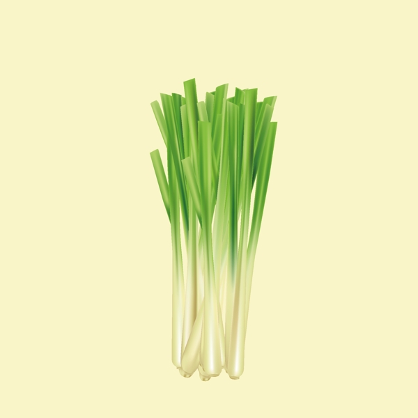 卡通檸檬草