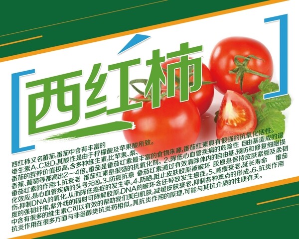 西红柿简介蔬菜简介水果简介
