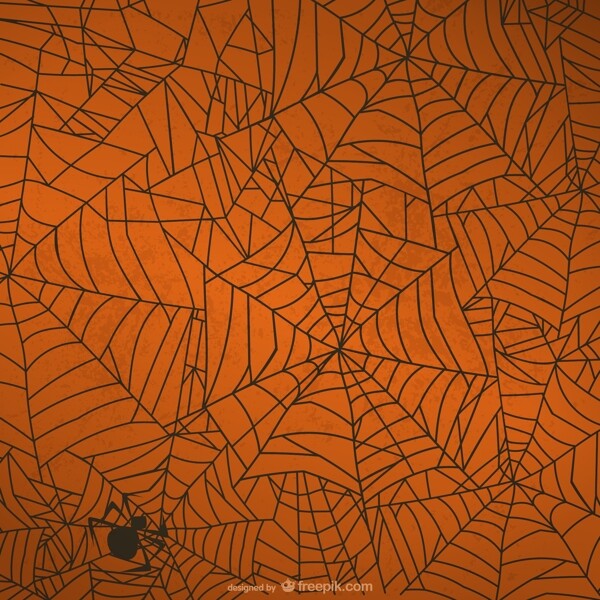 万圣节蜘蛛网背景