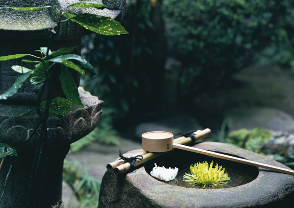 井水圖片