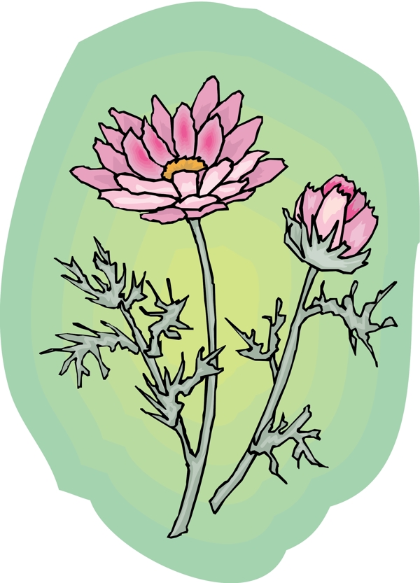 花朵花草鮮花矢量EPS格式1502