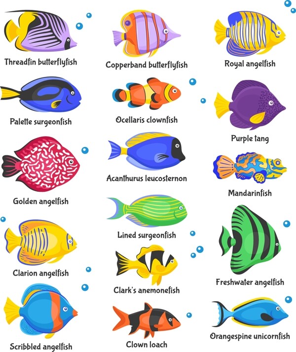海洋生物