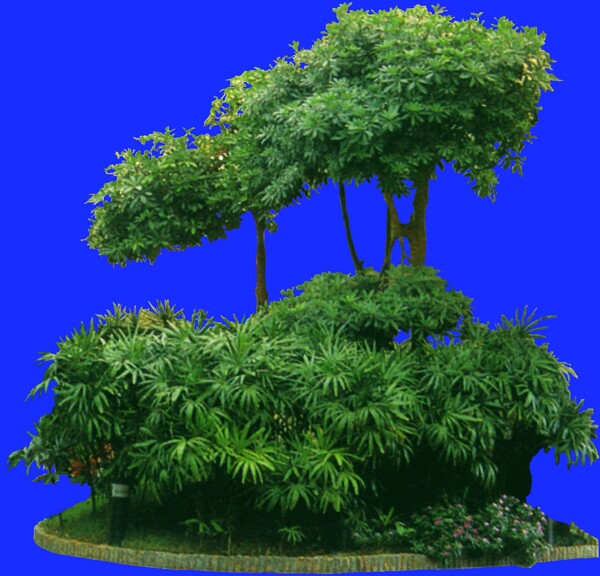 植物貼圖素材JPG0648