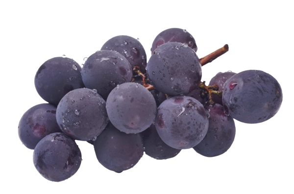 新鲜进口蓝葡萄水果元素