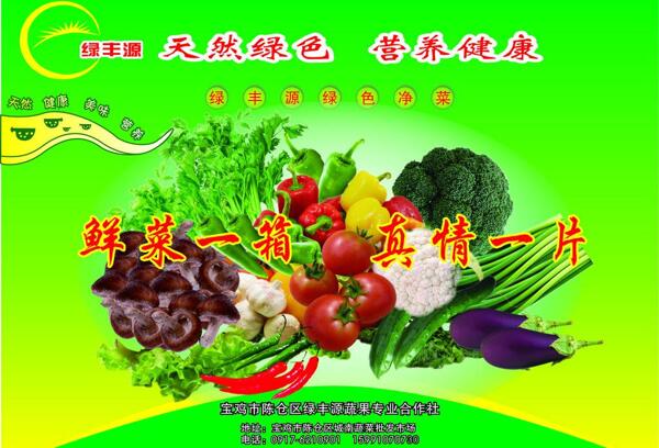 新鮮蔬菜圖片