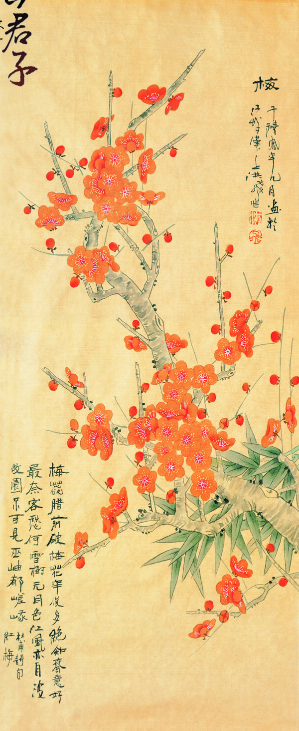 君子梅圖片