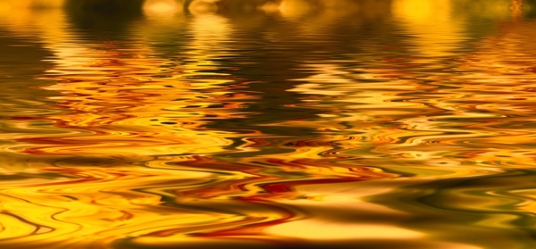 金色水面