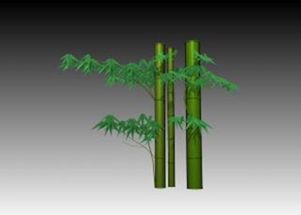 竹子3D模型圖片