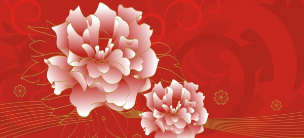 牡丹花