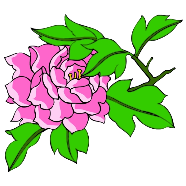 花卉古典插畫