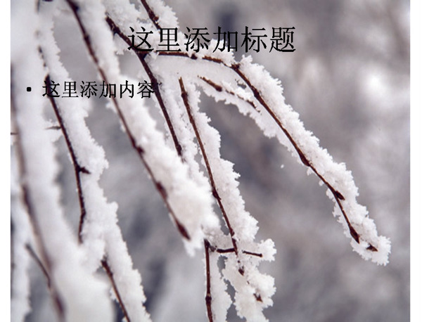 冰雪
