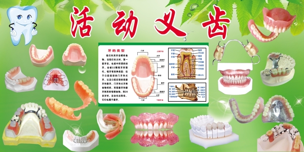 義齒展板