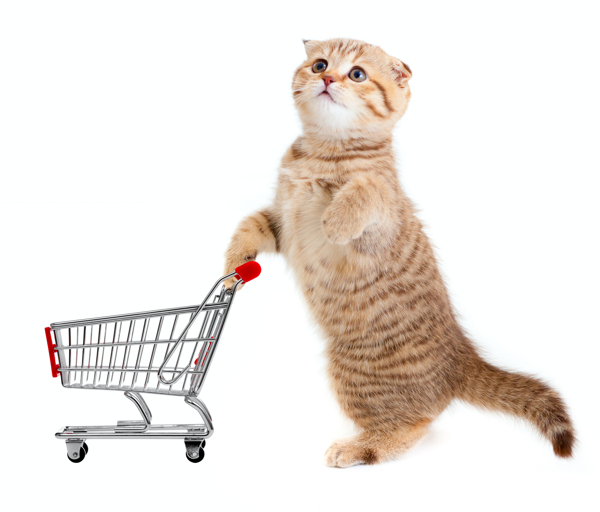 推购物车的小猫图片