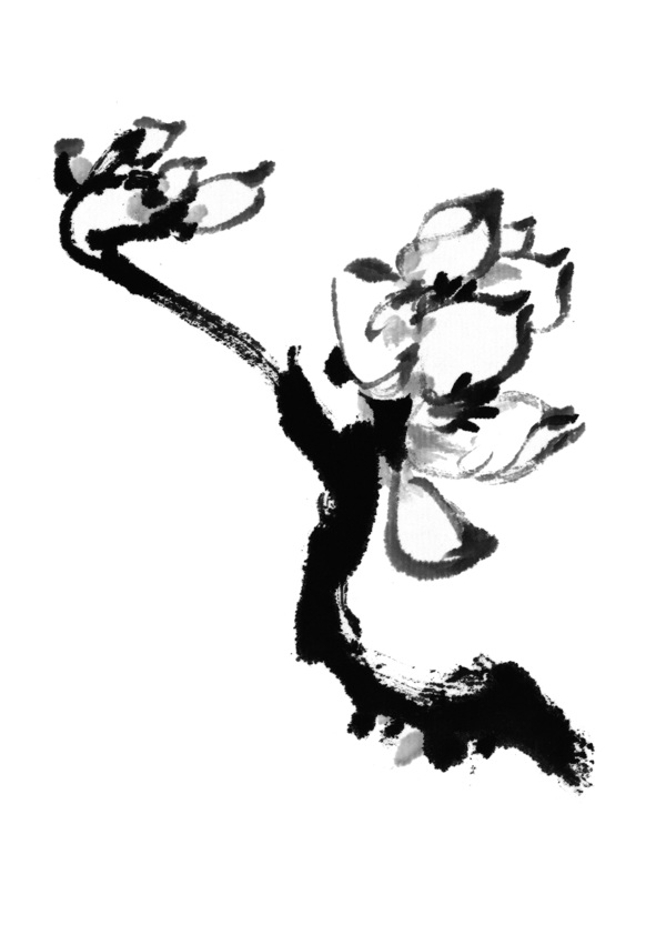 中國(guó)風(fēng)水墨畫(huà)
