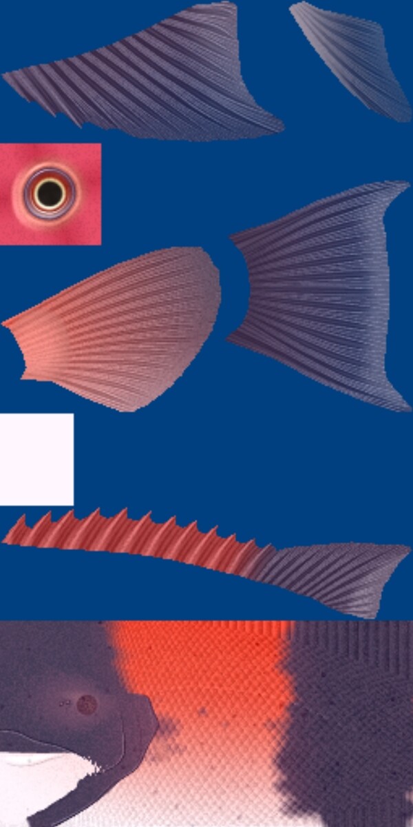 動(dòng)物魚類3d模型動(dòng)植物模型免費(fèi)下載魚類3d素材63