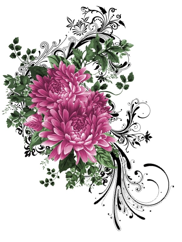 中國傳統(tǒng)花素材