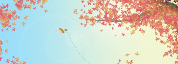藍(lán)天風(fēng)箏楓葉banner背景
