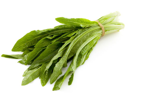 蔬菜圖片