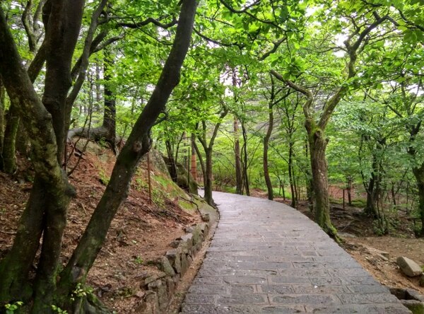 黃山