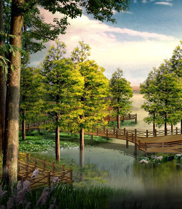公園風(fēng)景