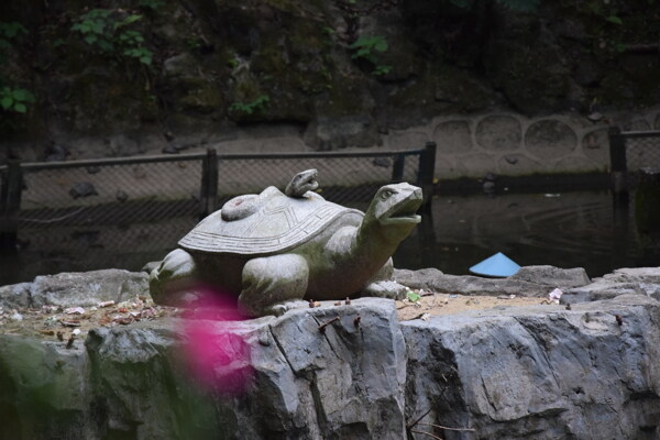 乌龟石雕