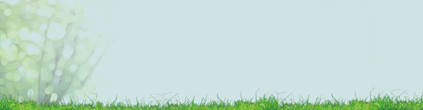 綠色植物小清新banner