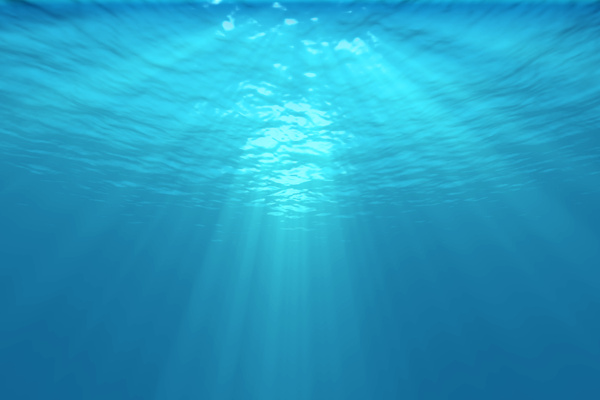 海底里的阳光图片