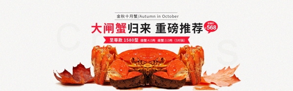 大閘蟹banner