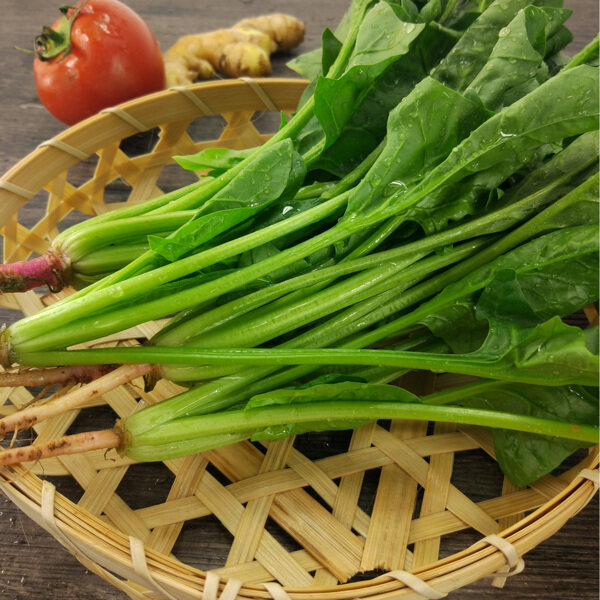 菠菜