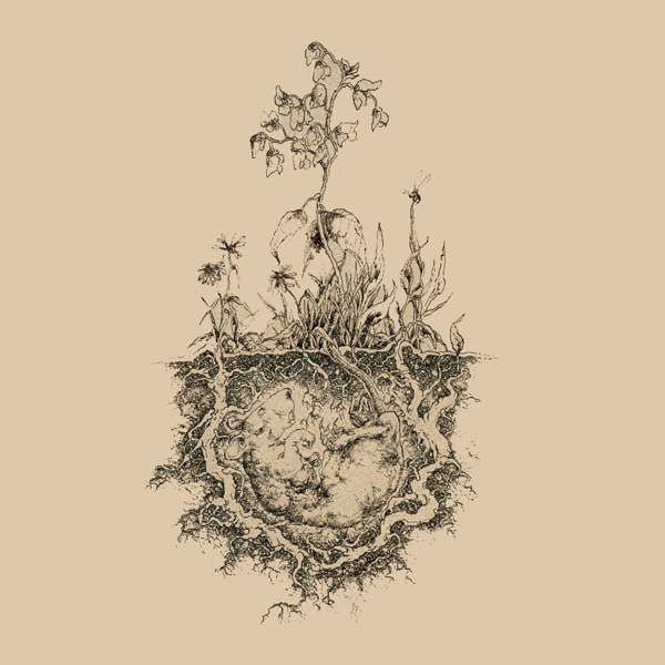 位圖插畫植物插畫插畫師Socar免費素材