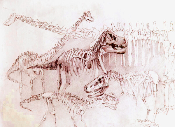 位圖插畫時(shí)尚插畫動(dòng)物插畫藝術(shù)效果免費(fèi)素材