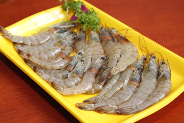 基尾蝦圖片