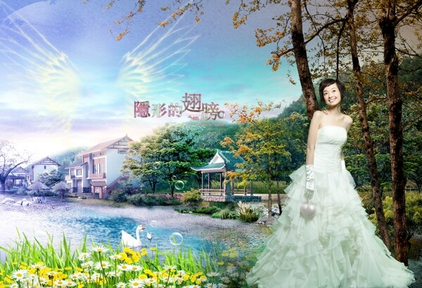 隱形的翅膀圖片