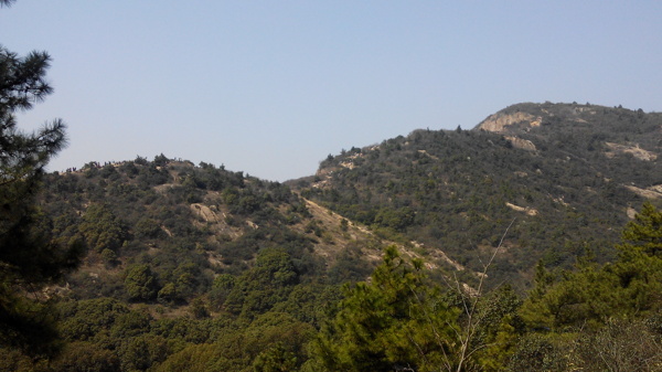 山