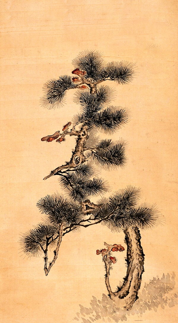 位圖植物圖案寫意花卉花朵免費素材