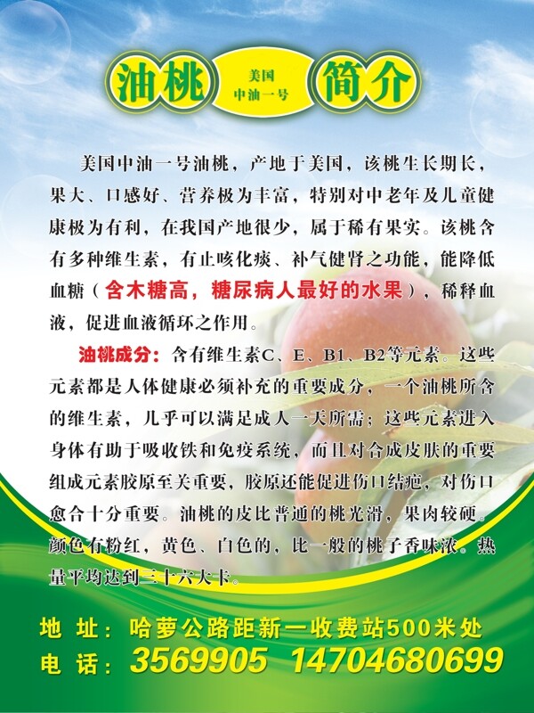 美國(guó)一號(hào)油桃簡(jiǎn)介圖片