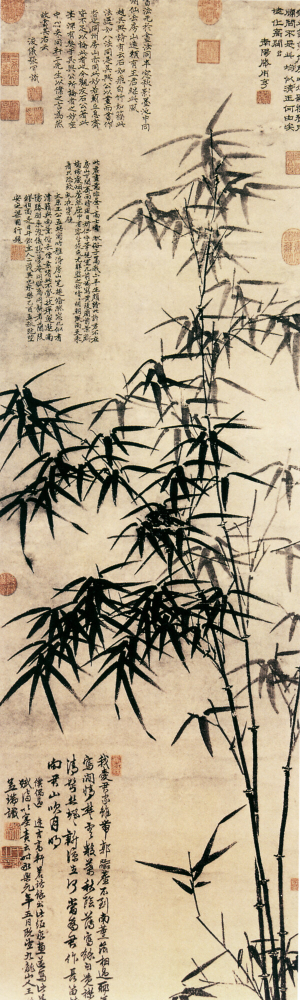 竹葉竹子中國風(fēng)竹竿中華藝術(shù)繪畫植物