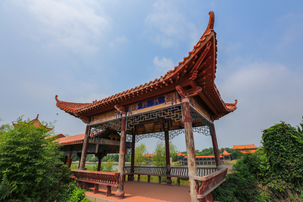 日照海濱國(guó)家森林公園圖片