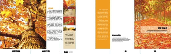 關(guān)于秋天的折頁
