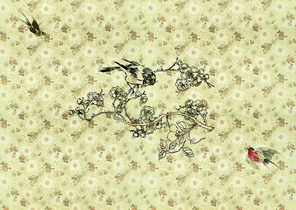歐式墻紙花鳥圖