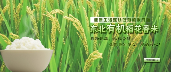大米淘寶圖片